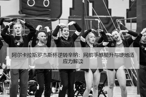 a-er-ka-la-si-luo-jie-si-bei-ni-zhuan-xin-na-wang-qian-shou-gan-ti-sheng-yu-ying-di-shi-ying-li-jie-du-2-606.jpg